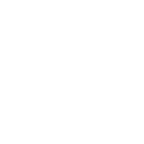 Strategic Location Icon